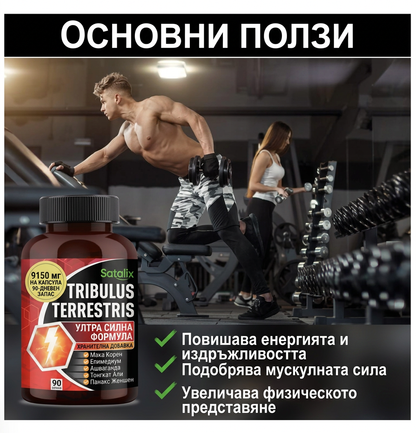 Sotalix Tribulus Terrestris – 120 капсули